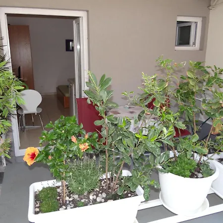 Jasna Apartment